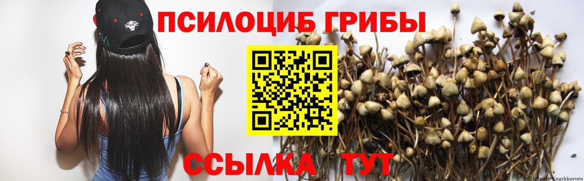 Псилоцибиновые грибы MAGIC MUSHROOMS Иркутск